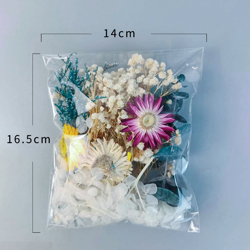 1 Packung verschiedene getrock – Craft Embellishments Bewertung und Preis