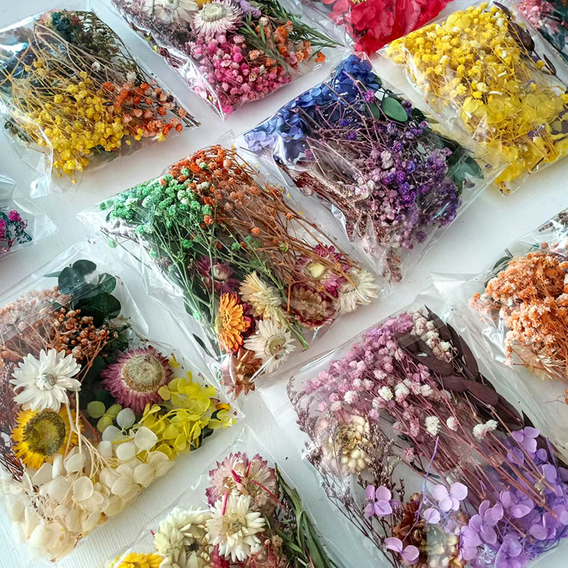 1 Packung verschiedene getrock – Craft Embellishments Bewertung und Preis